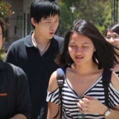 WA’s International student numbers at colleges and training institutes plunge